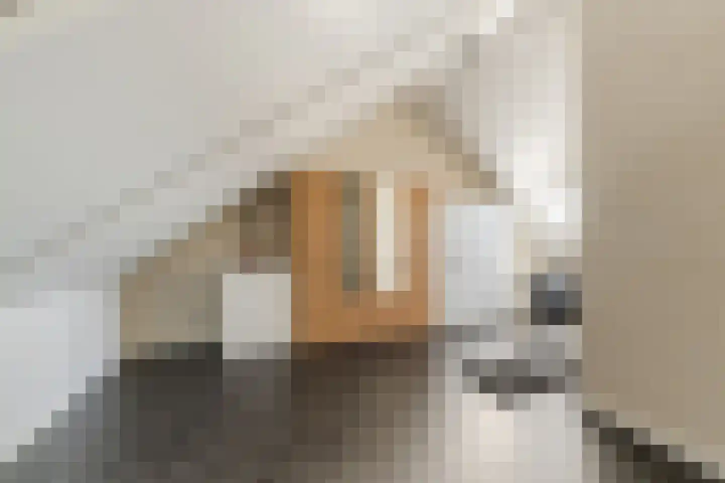 Scheeperskant 7 Reusel thumbnail 22