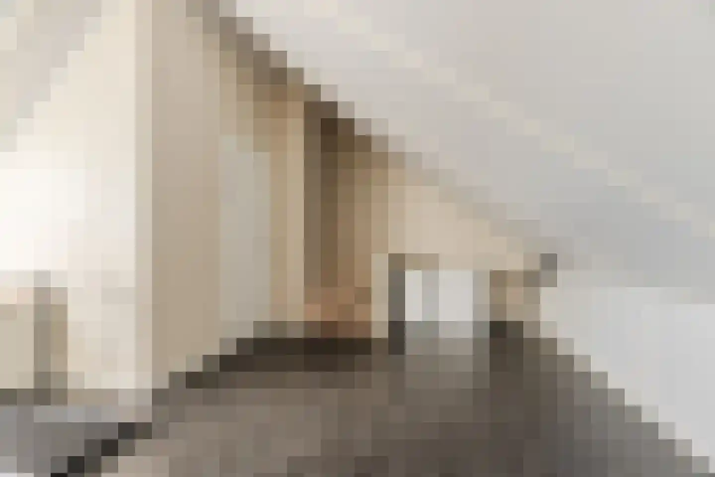 Scheeperskant 7 Reusel thumbnail 24