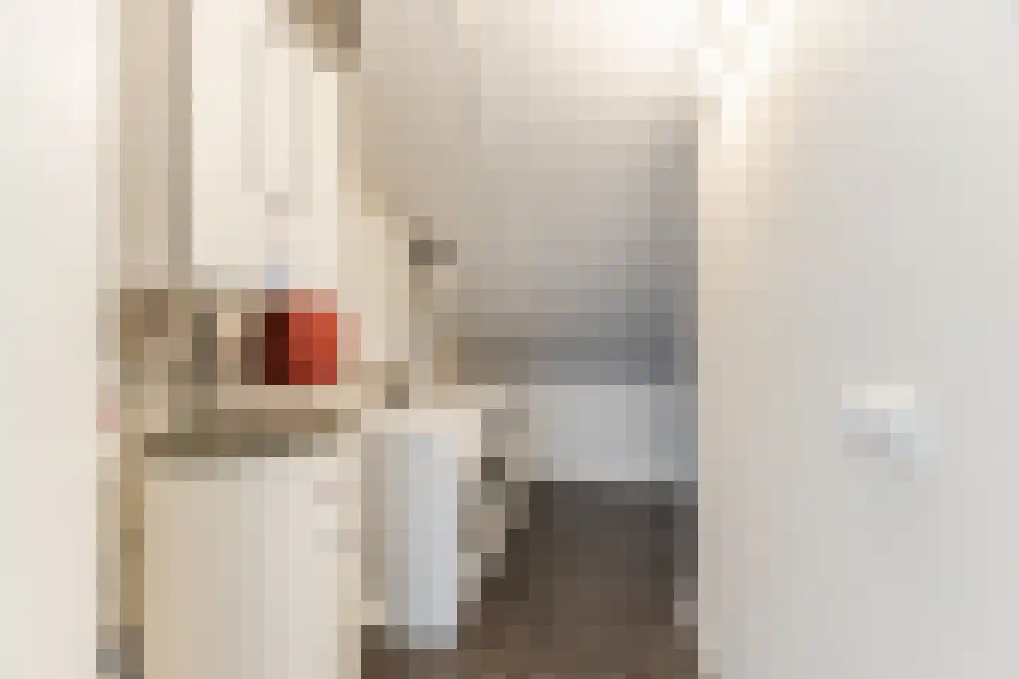 Scheeperskant 7 Reusel thumbnail 26