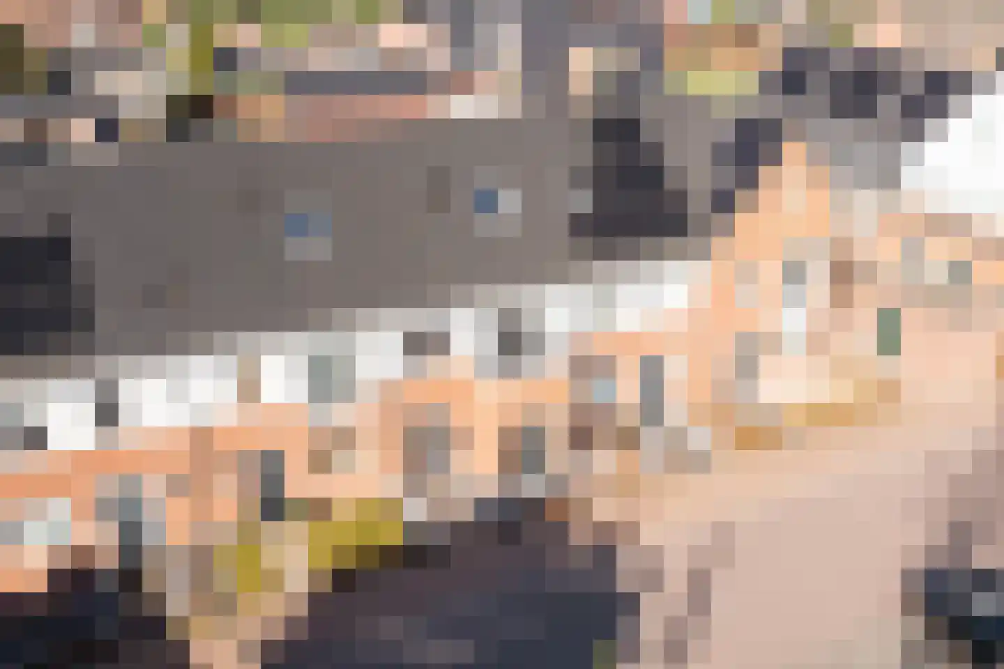 Scheeperskant 7 Reusel thumbnail 31