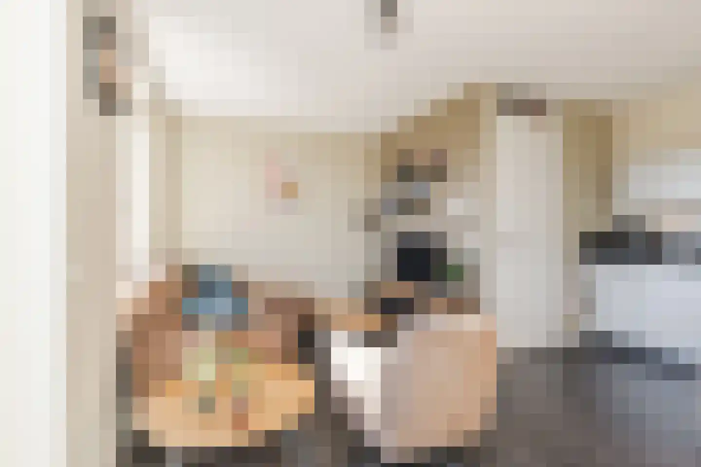Scheeperskant 7 Reusel thumbnail 8