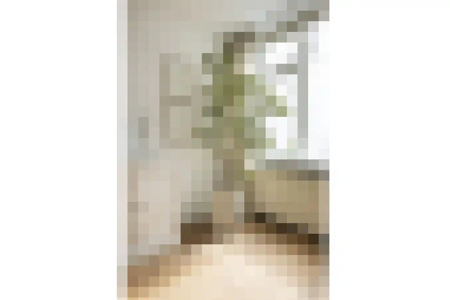 Scheepersstraat 14 Haarlem thumbnail 16