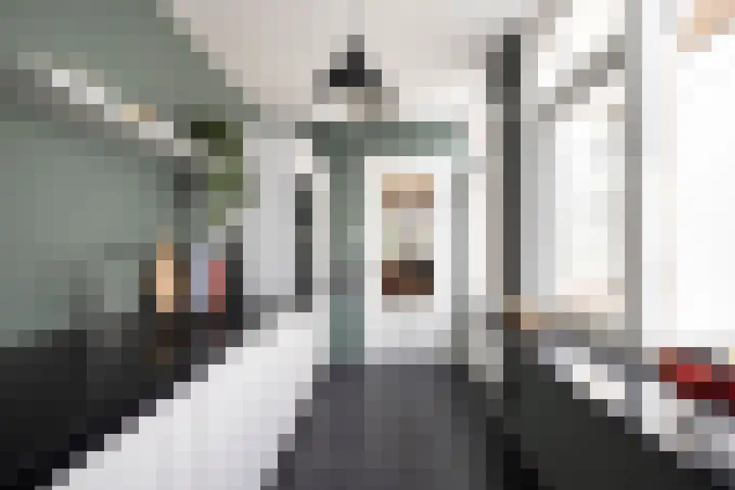 Scheepersstraat 14 Haarlem thumbnail 19