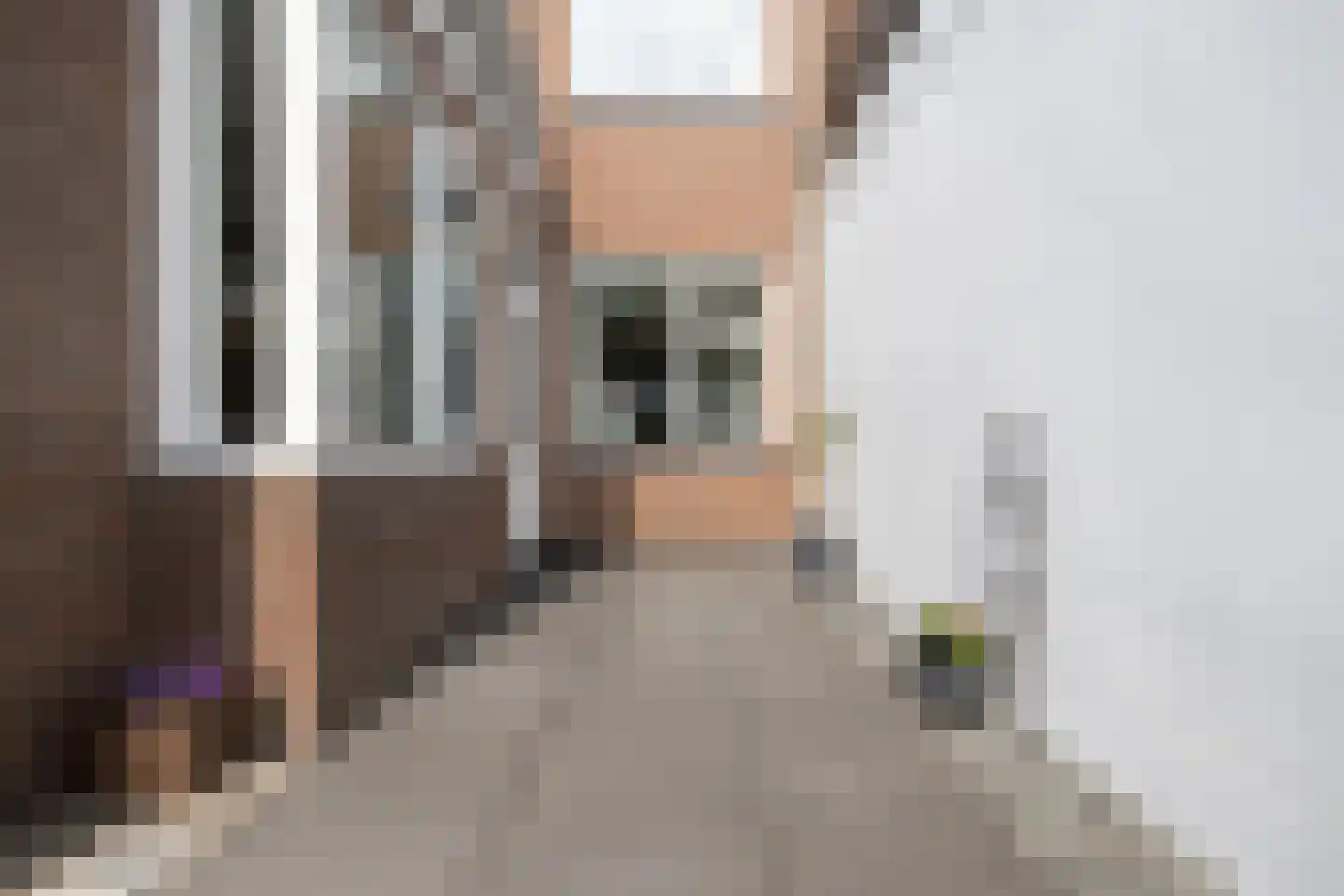 Scheepersstraat 14 Haarlem thumbnail 29