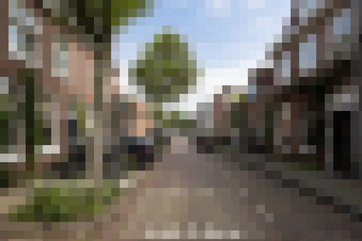 Scheepersstraat 14 Haarlem thumbnail 4