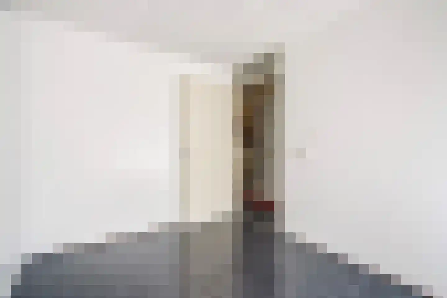 Scheepersstraat 225 Den Haag thumbnail 7