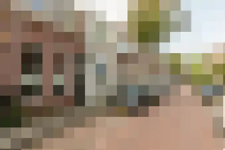 Scheepersstraat 41 Haarlem thumbnail 25