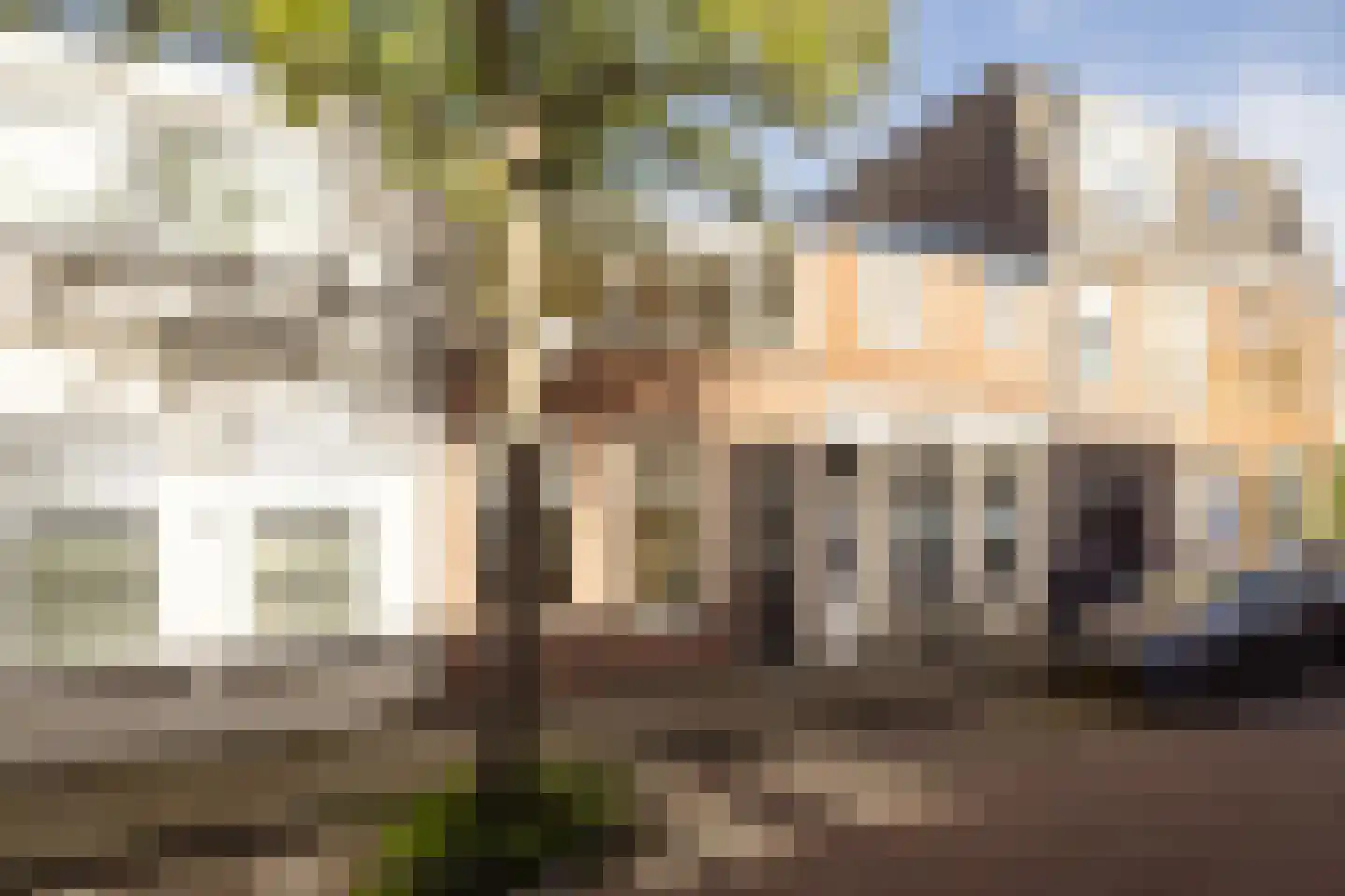 Scheepersstraat 45 Haarlem
