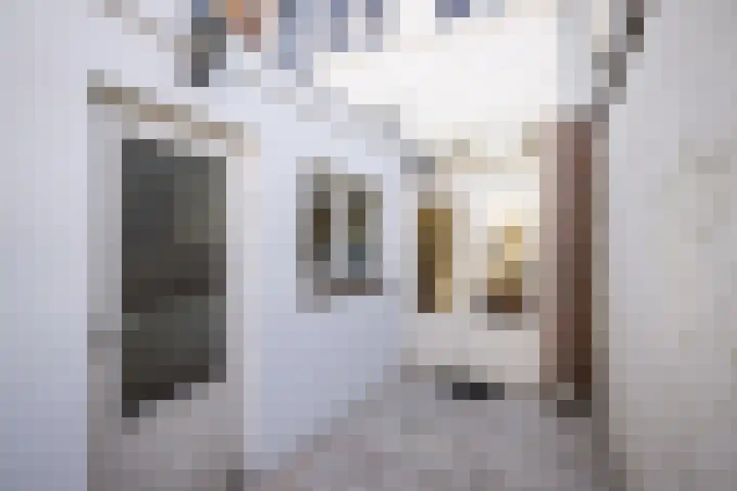 Scheepersstraat 45 Haarlem thumbnail 15