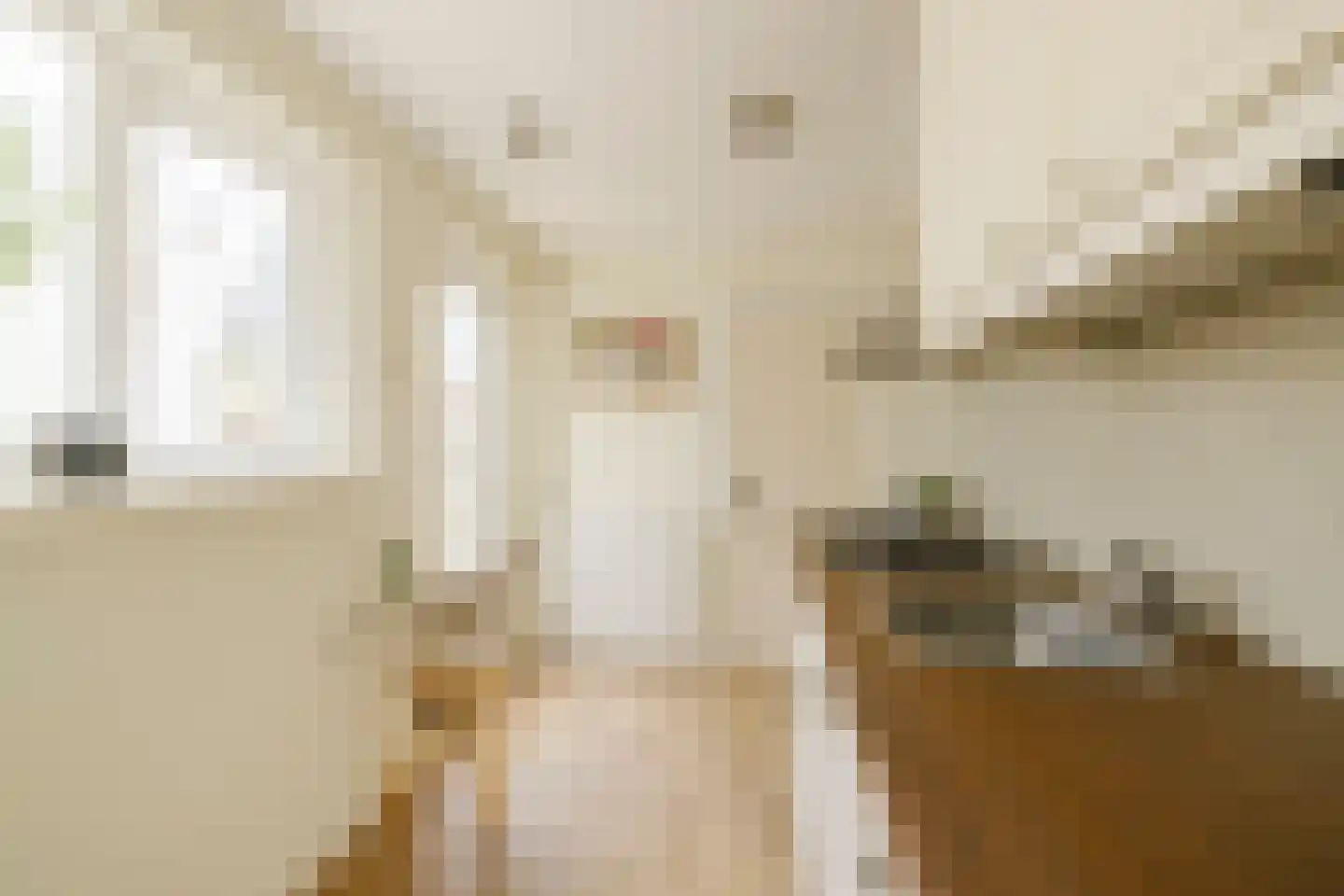 Scheepersstraat 45 Haarlem thumbnail 18