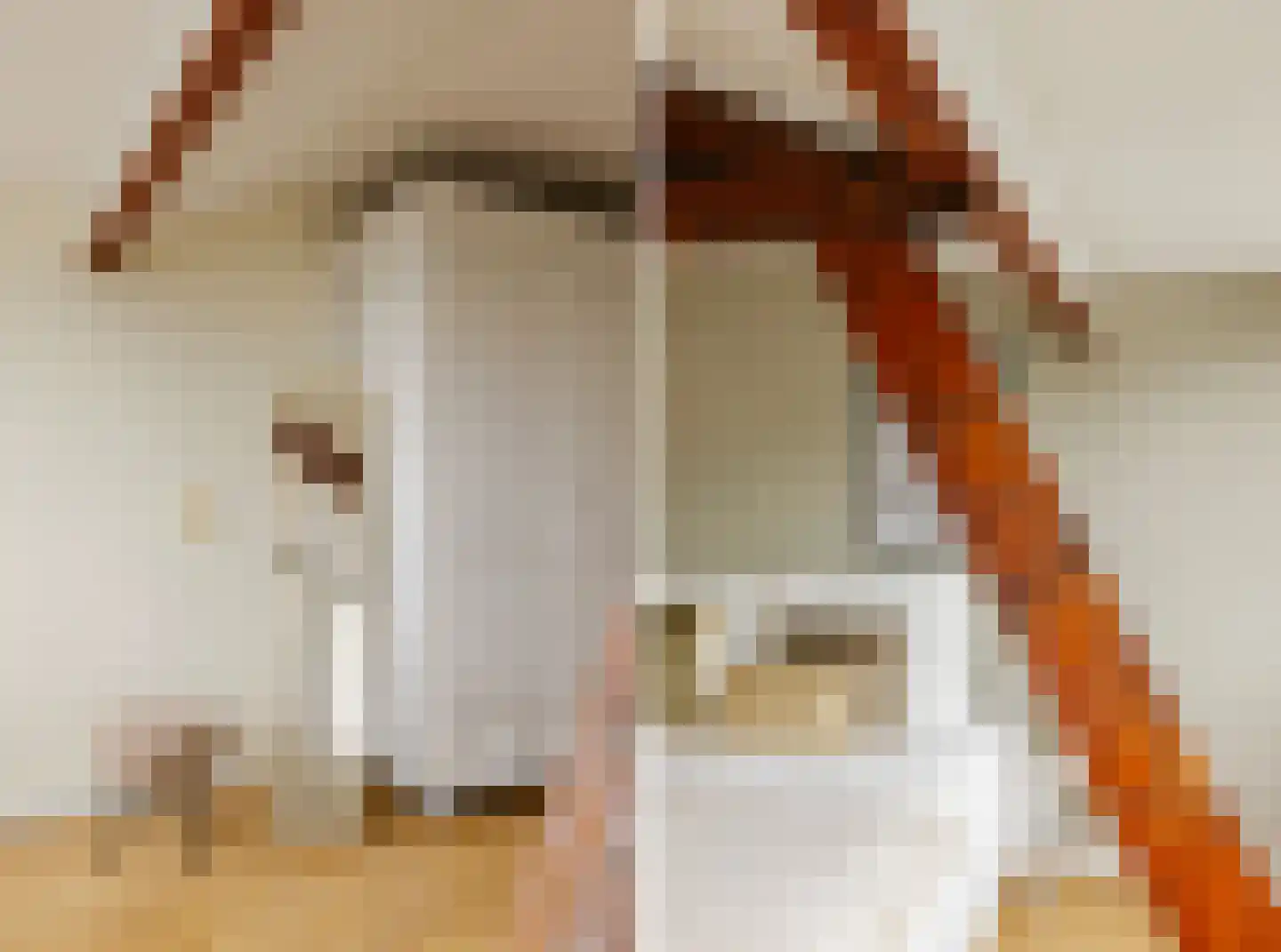 Scheepersstraat 45 Haarlem thumbnail 25