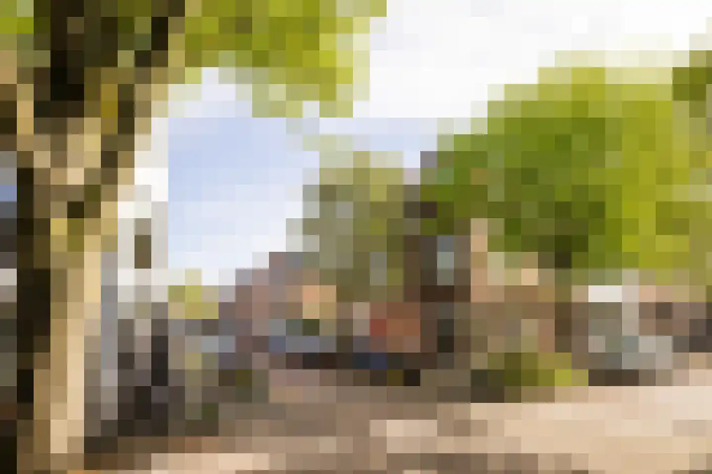 Scheepersstraat 45 Haarlem thumbnail 27