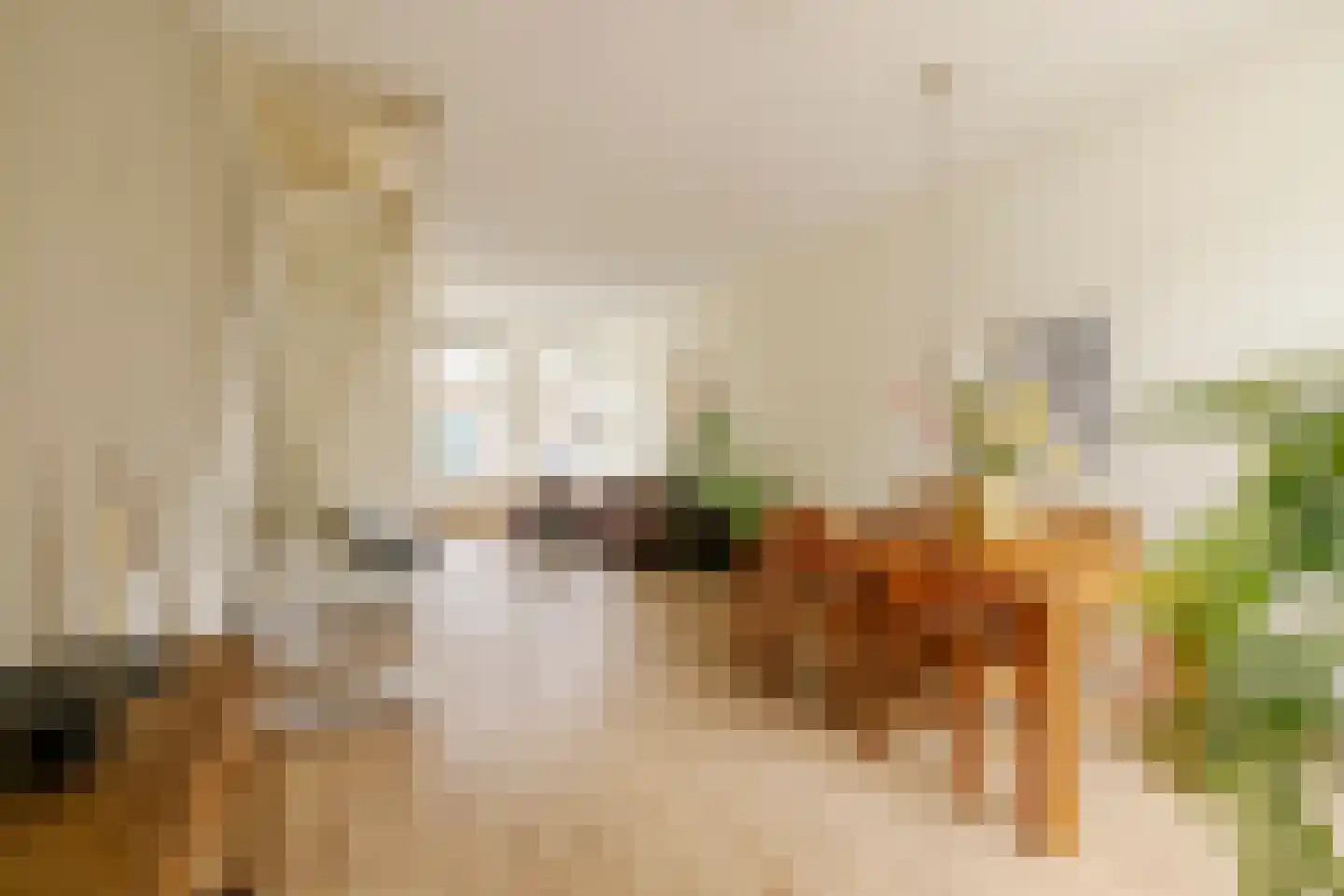 Scheepersstraat 45 Haarlem thumbnail 4