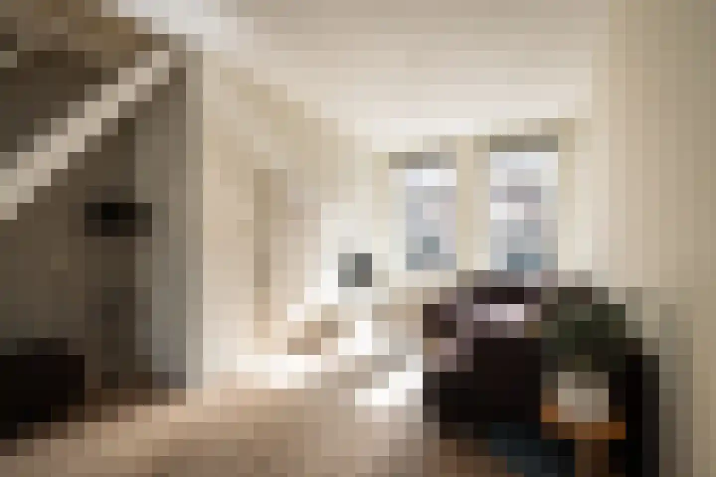 Scheepersstraat 45 Haarlem thumbnail 4