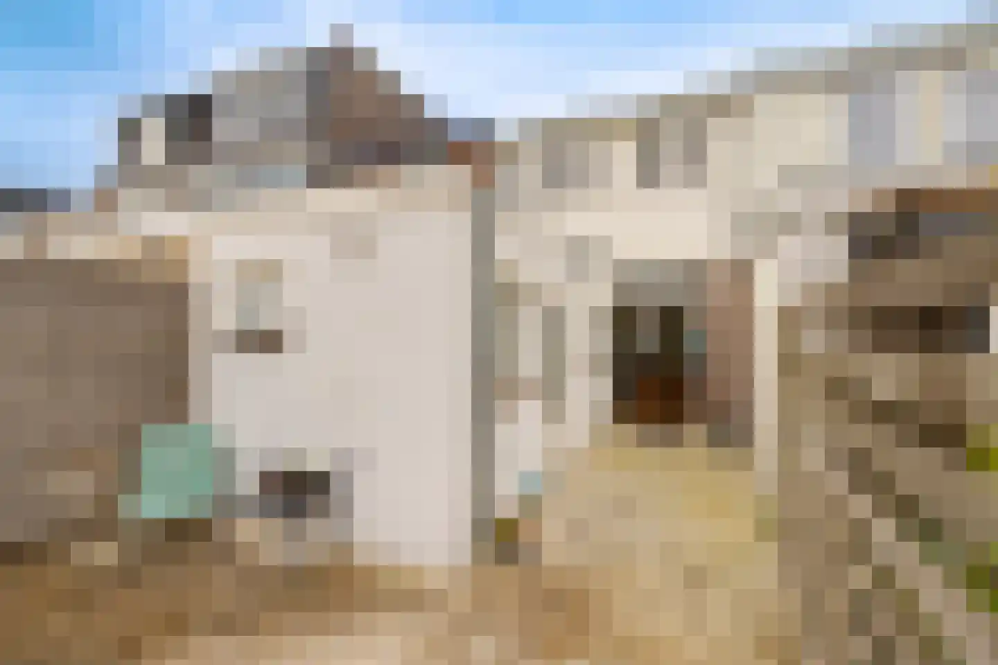 Scheepersstraat 45 Haarlem thumbnail 5
