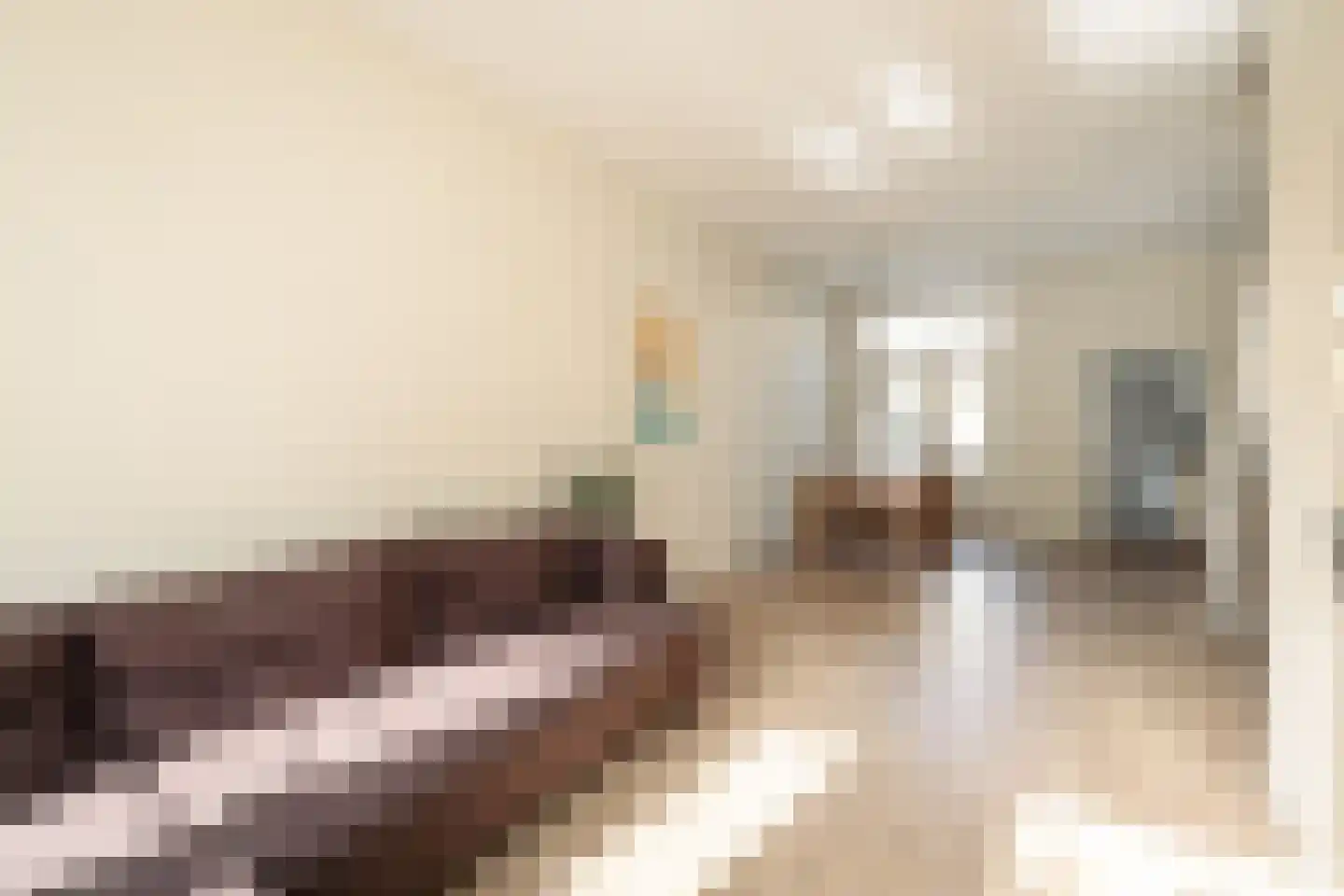 Scheepersstraat 45 Haarlem thumbnail 6