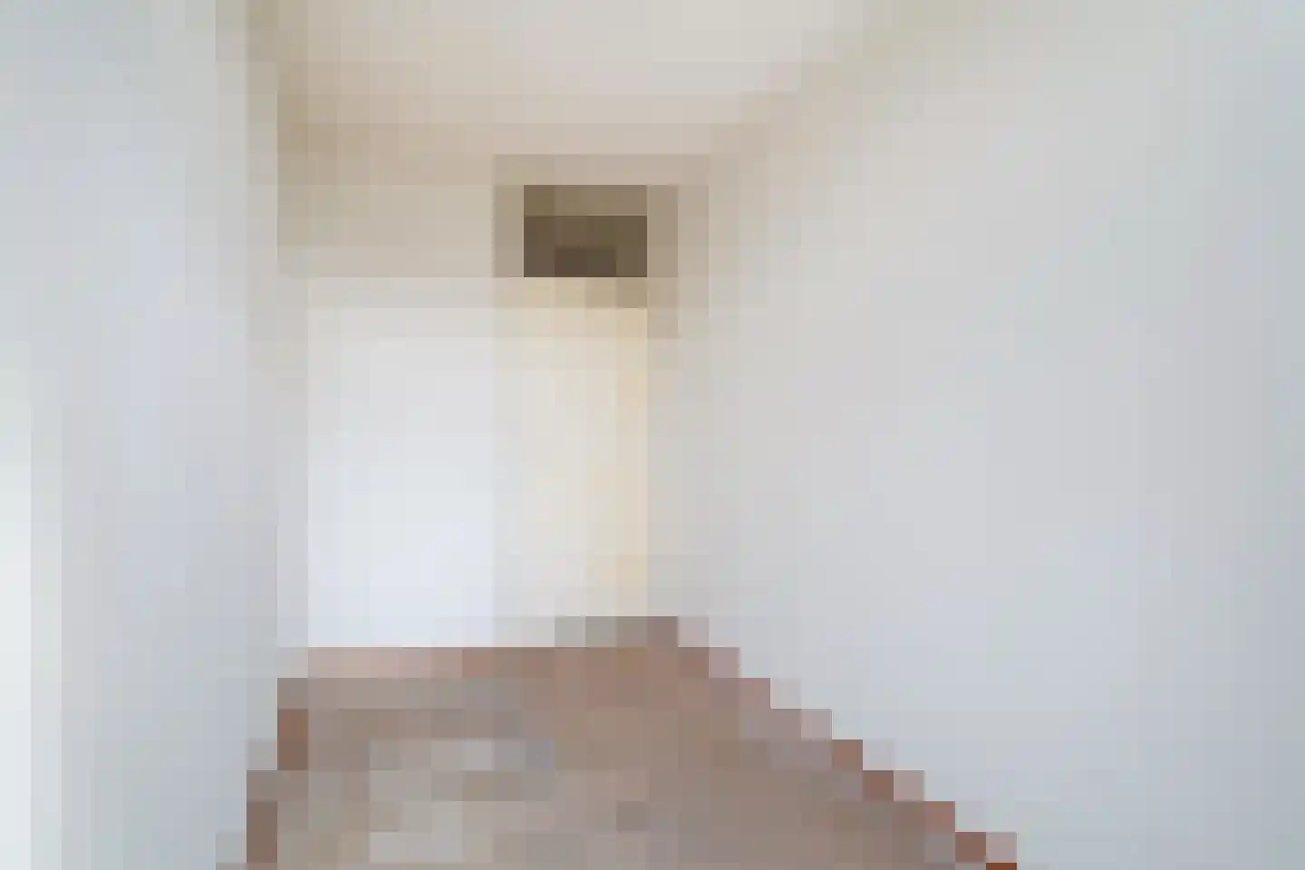 Scheepersstraat 53 Den Haag thumbnail 16