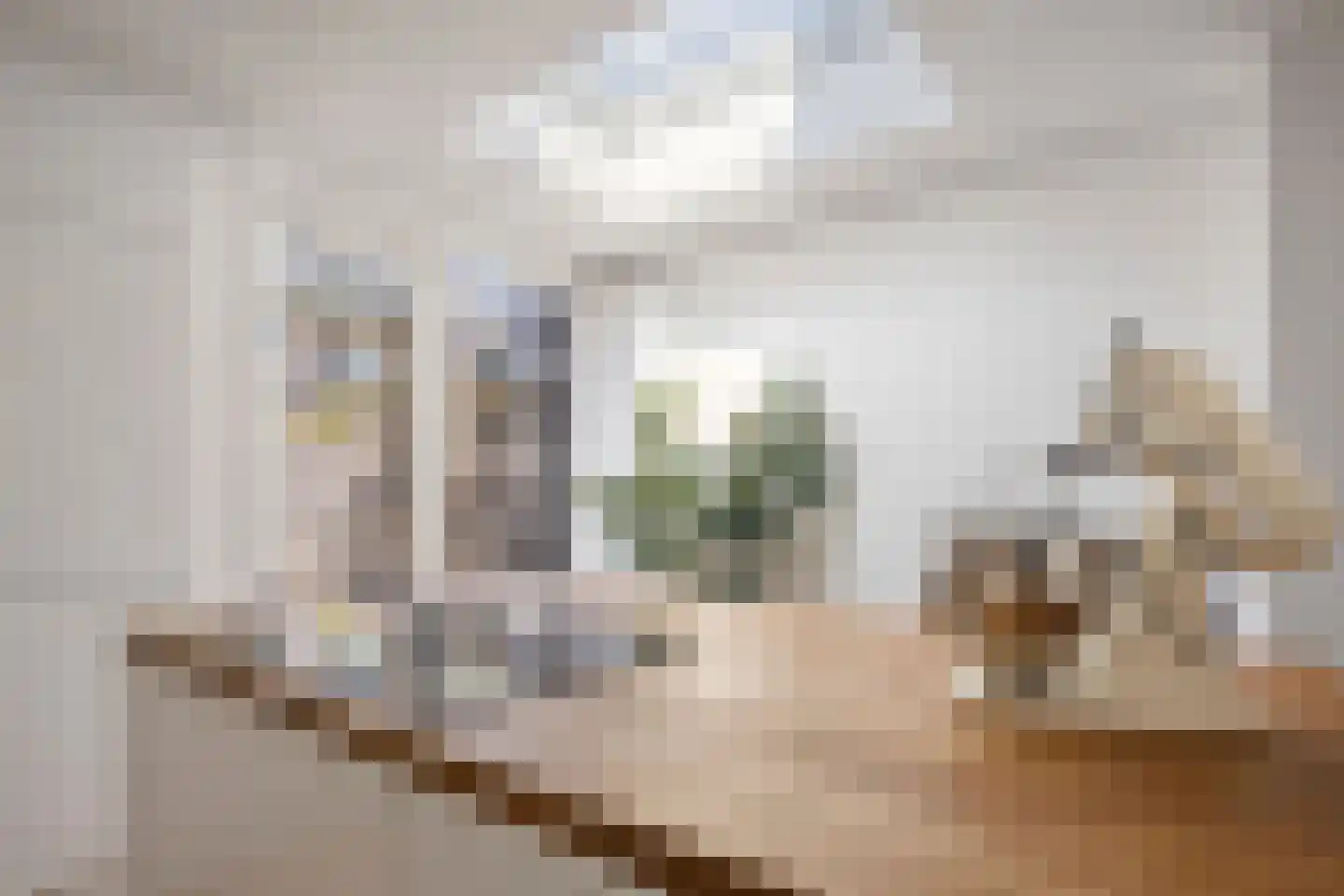 Scheepersstraat 59 Haarlem thumbnail 14