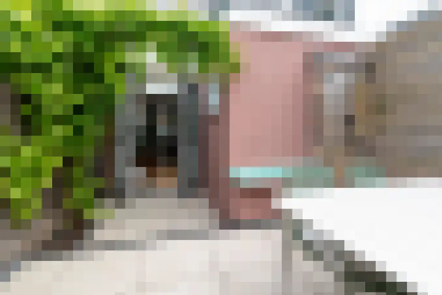 Scheepersstraat 59 Haarlem thumbnail 22