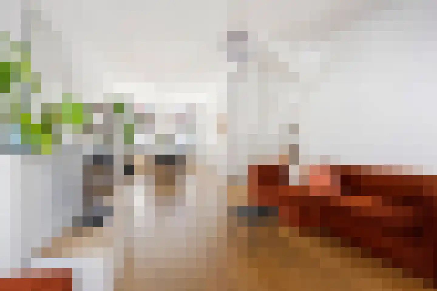 Scheepersstraat 59 Haarlem thumbnail 6