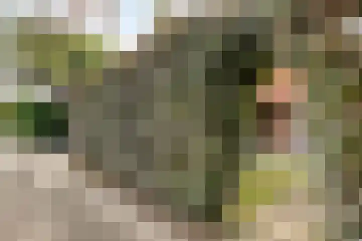 Scheepjesbrug 120 Meerkerk thumbnail 22