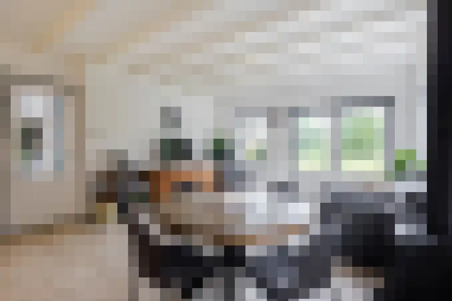 Scheepjesbrug 123 Meerkerk thumbnail 6
