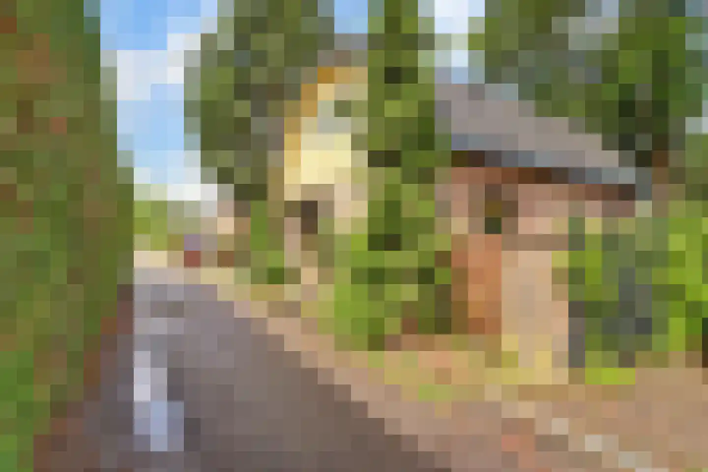 Scheepjesbrug 125 Meerkerk thumbnail 42