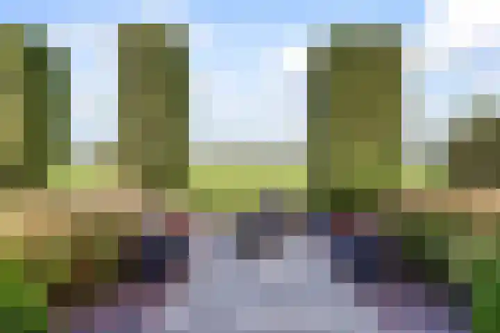 Scheepjesbrug 211 Meerkerk thumbnail 41