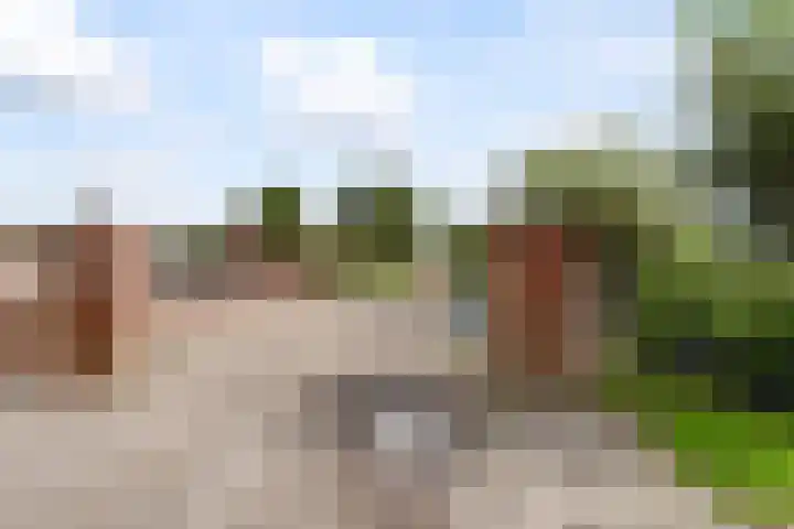 Scheepjesbrug 211 Meerkerk thumbnail 48