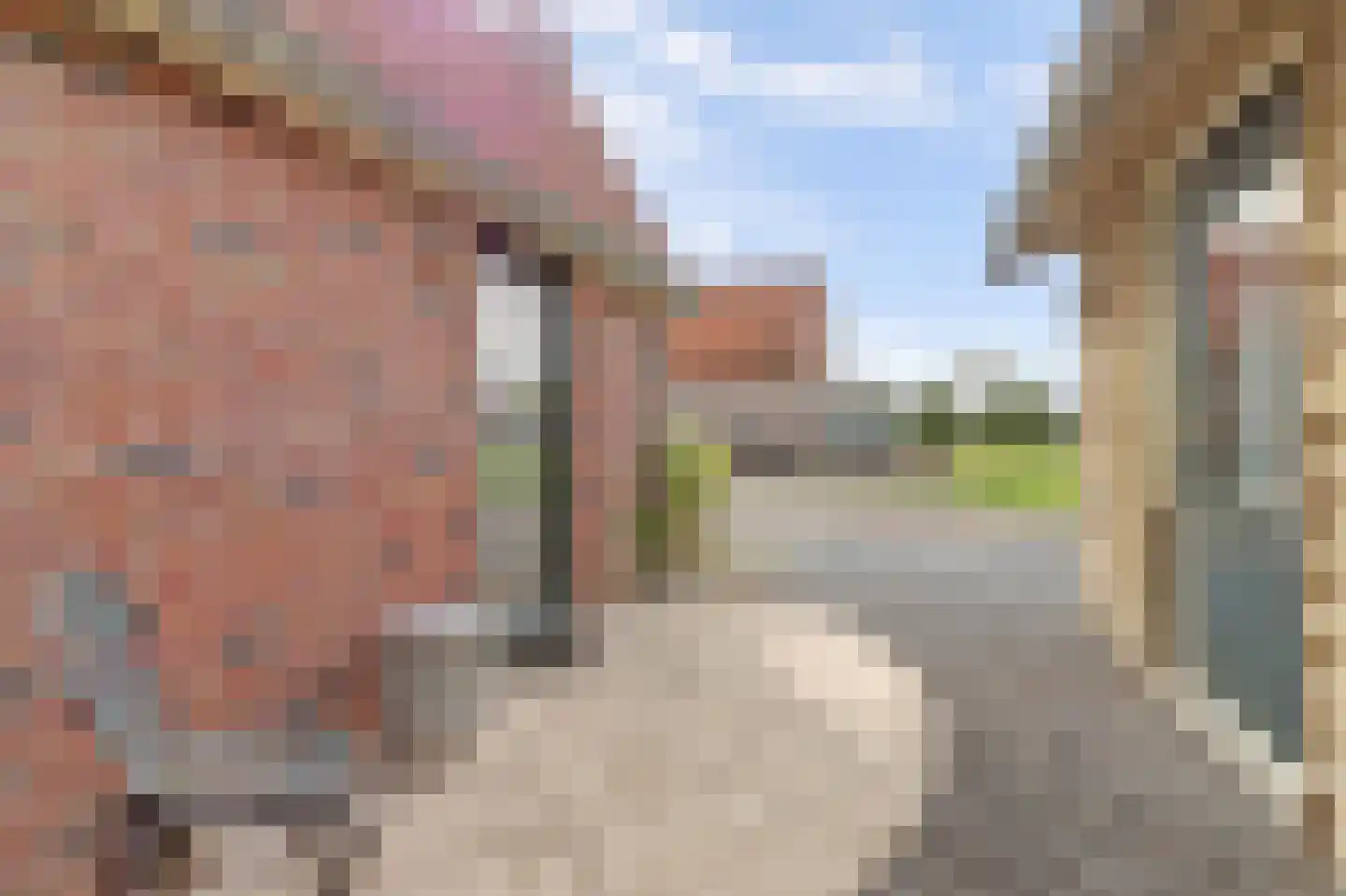 Scheepjesbrug 231 Meerkerk thumbnail 34