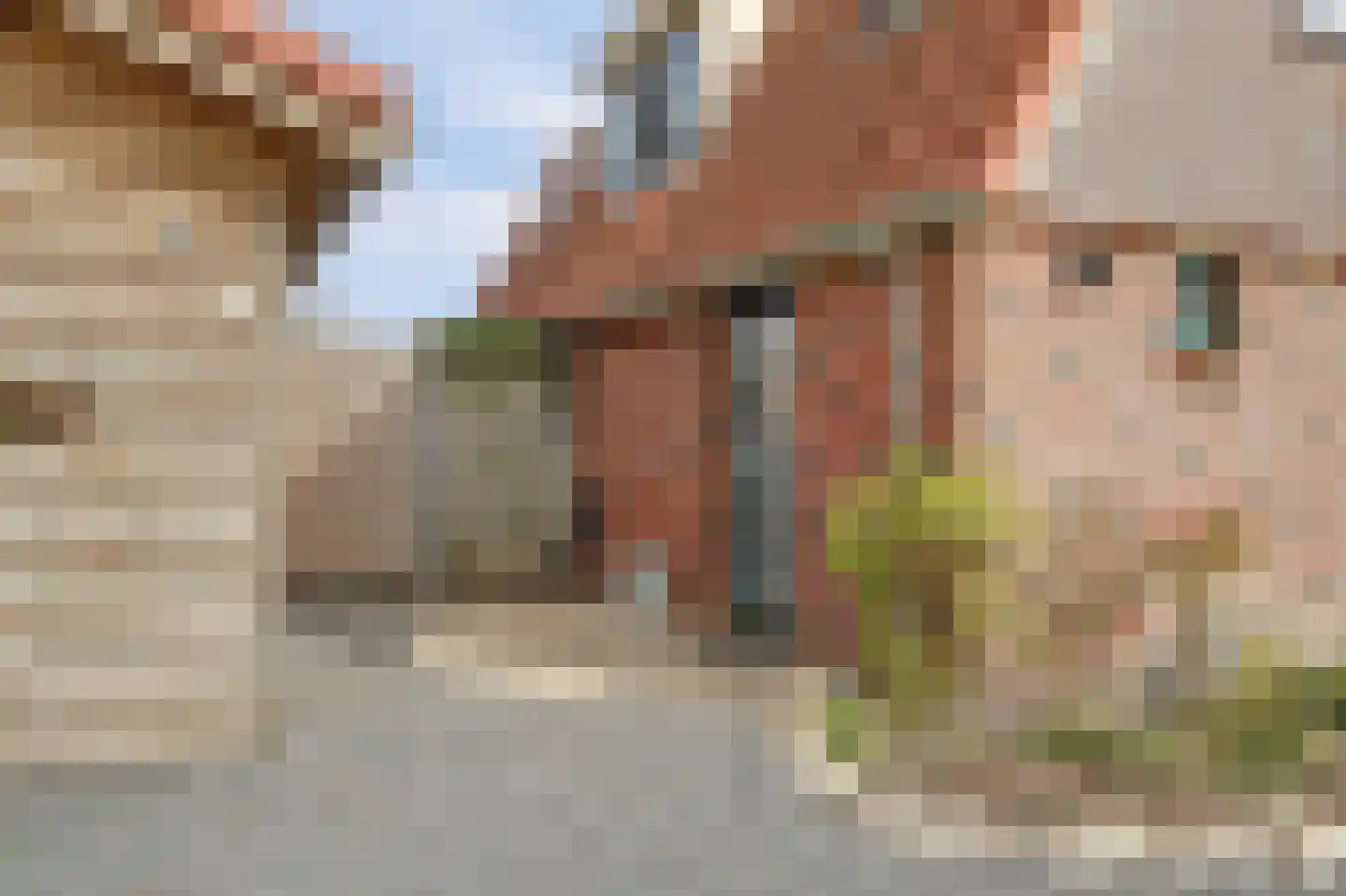 Scheepjesbrug 231 Meerkerk thumbnail 36