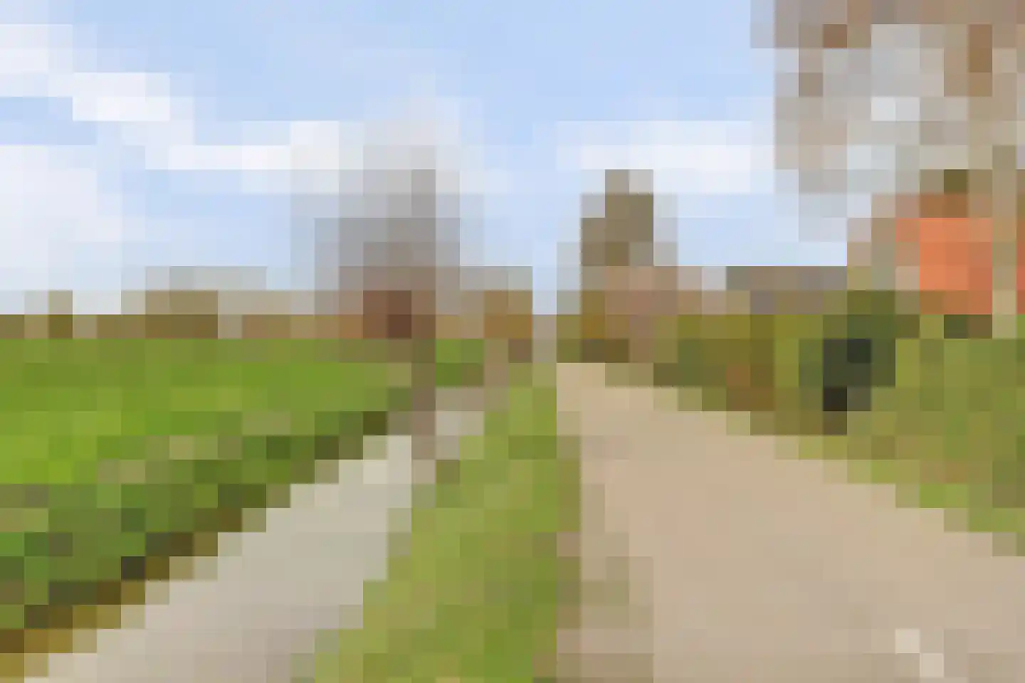 Scheepjesbrug 231 Meerkerk thumbnail 49