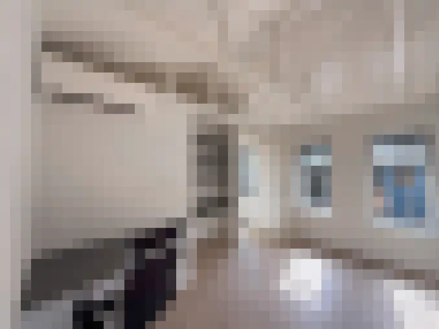 Scheepjesbrug 404 Meerkerk thumbnail 18
