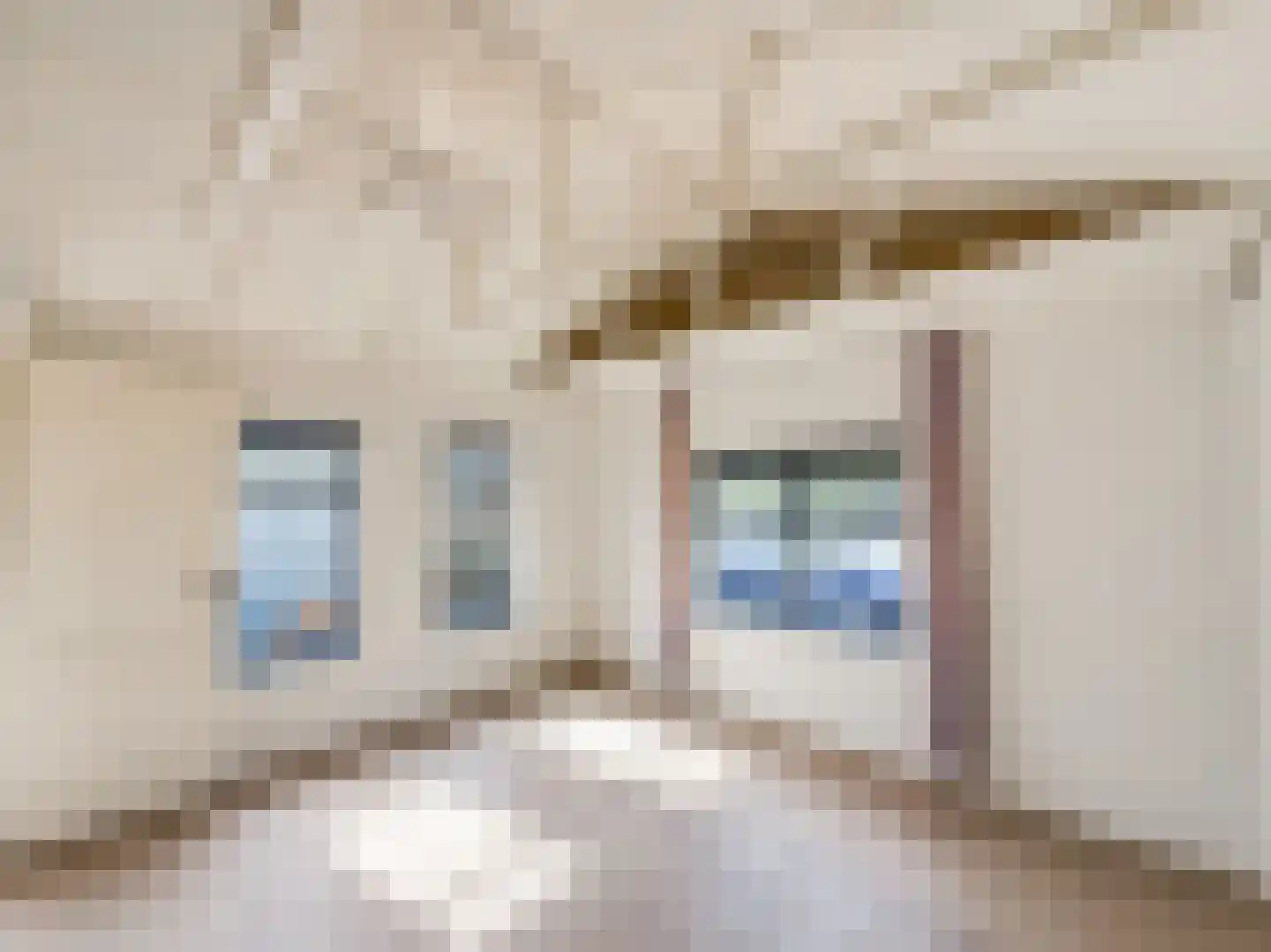 Scheepjesbrug 404 Meerkerk thumbnail 22