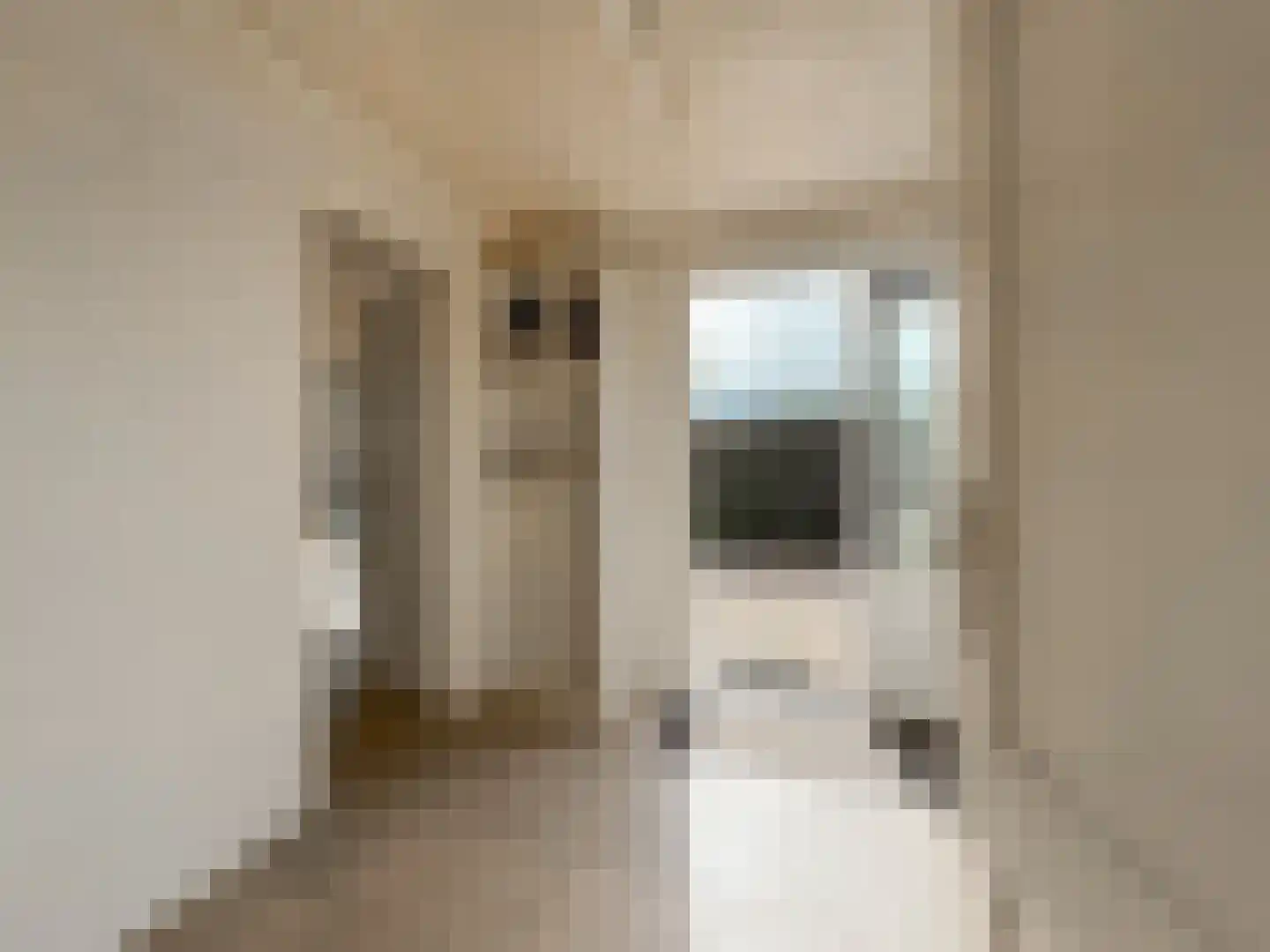 Scheepjesbrug 404 Meerkerk thumbnail 6