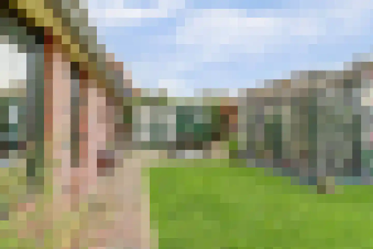 Scheepjesbrug 504 Meerkerk thumbnail 30