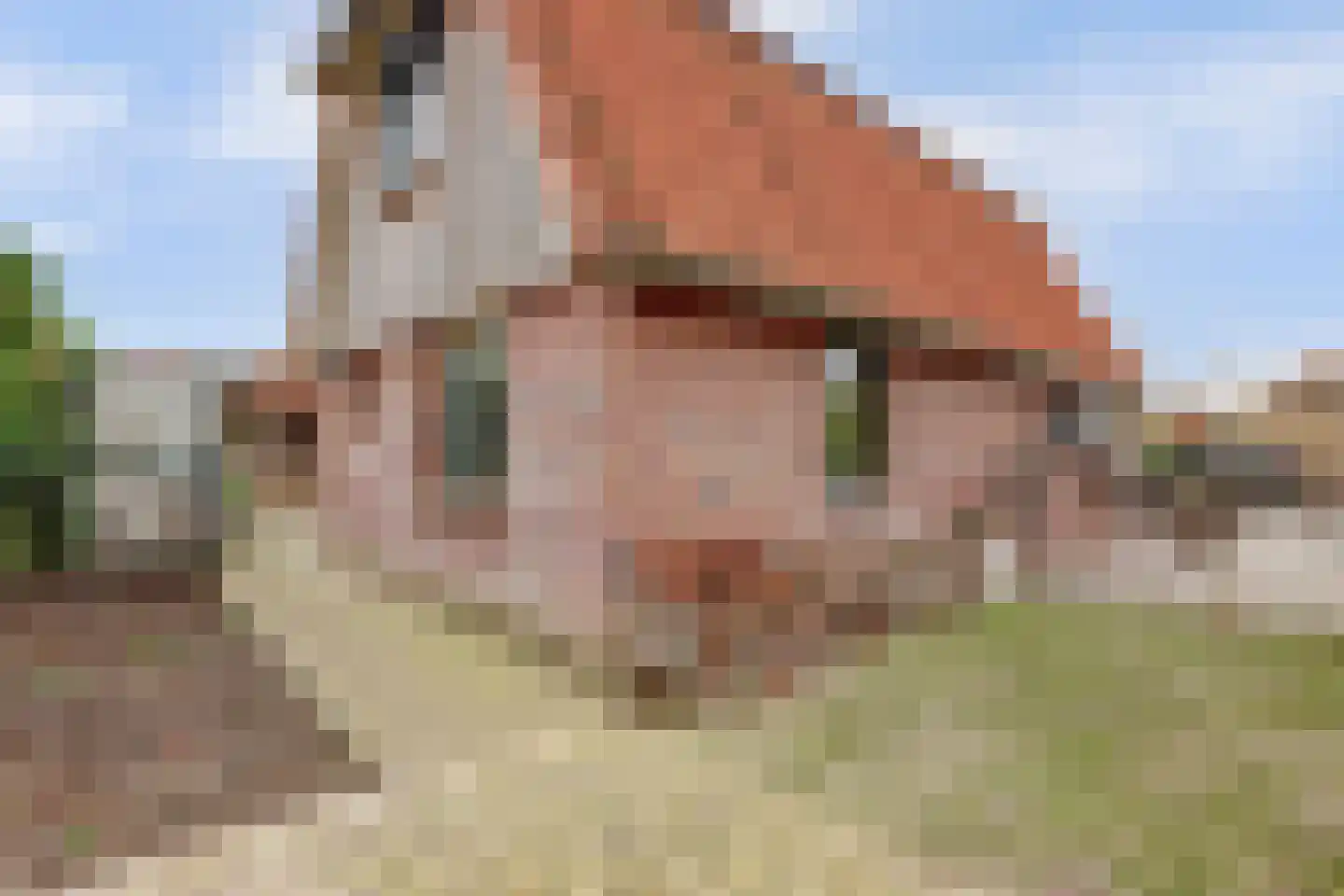 Scheepjesbrug 504 Meerkerk thumbnail 37