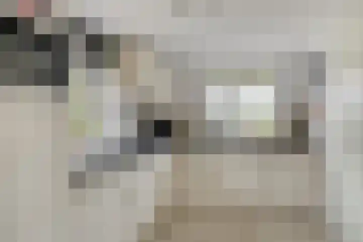 Scheepjesbrug 808 Meerkerk thumbnail 11