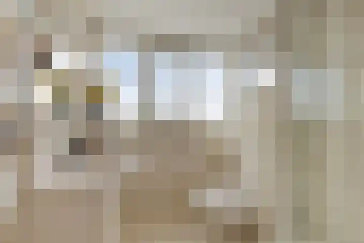 Scheepjesbrug 808 Meerkerk thumbnail 17