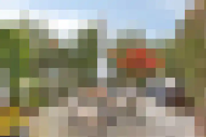 Scheepjesbrug 808 Meerkerk thumbnail 31