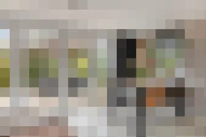 Scheepjesbrug 808 Meerkerk thumbnail 8