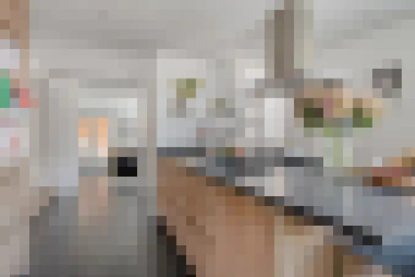 Scheepjeserf 8 Grootschermer thumbnail 13