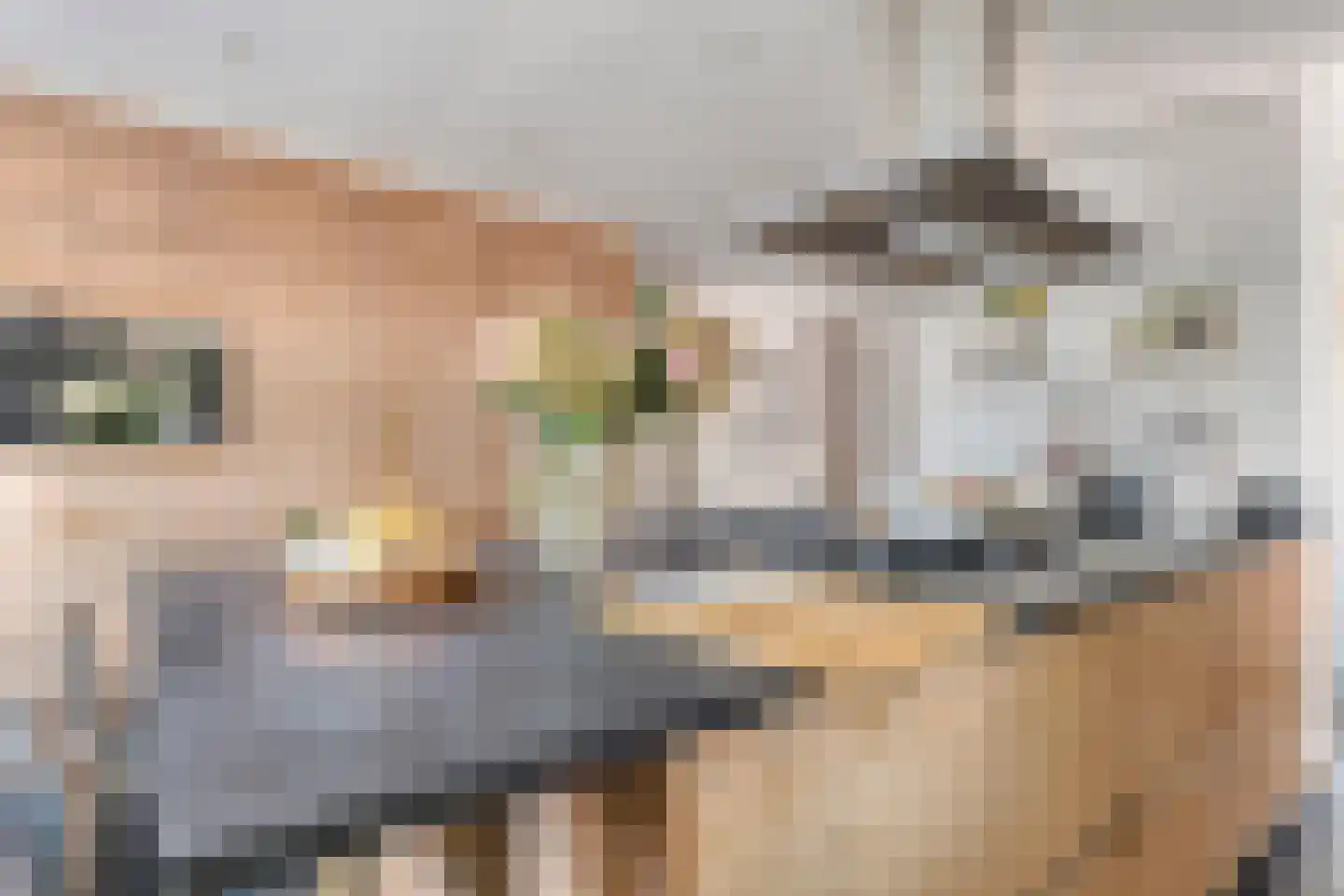 Scheepjeserf 8 Grootschermer thumbnail 14