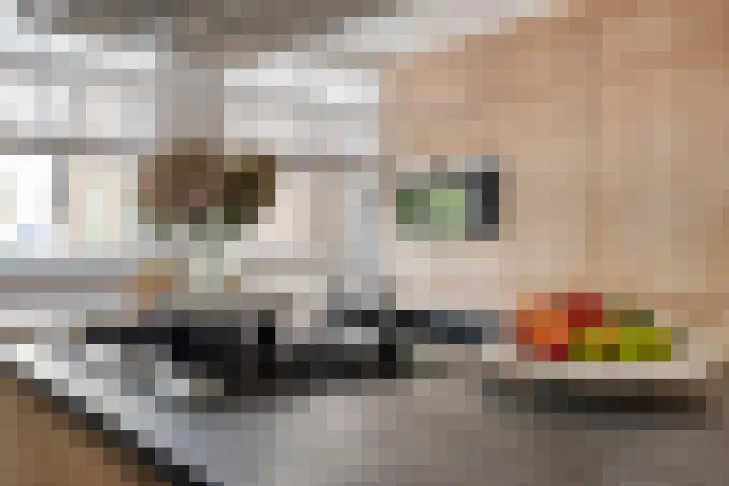 Scheepjeserf 8 Grootschermer thumbnail 15