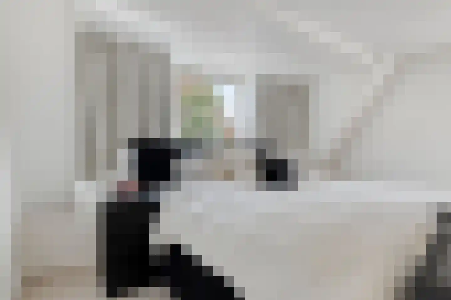 Scheepjeserf 8 Grootschermer thumbnail 18