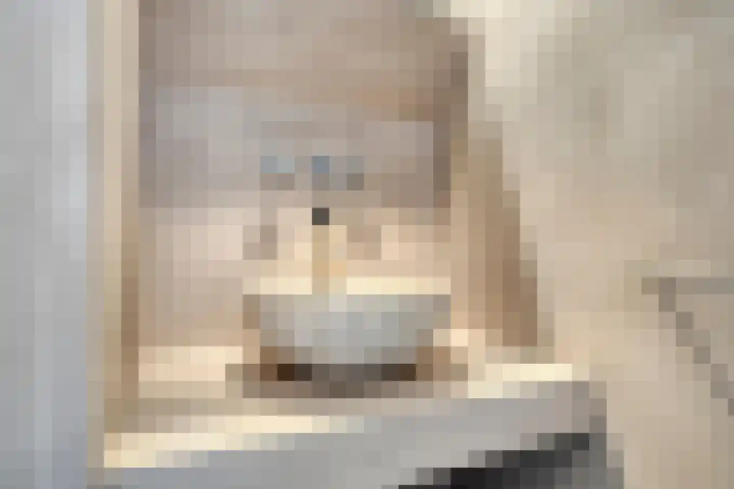 Scheepjeserf 8 Grootschermer thumbnail 26