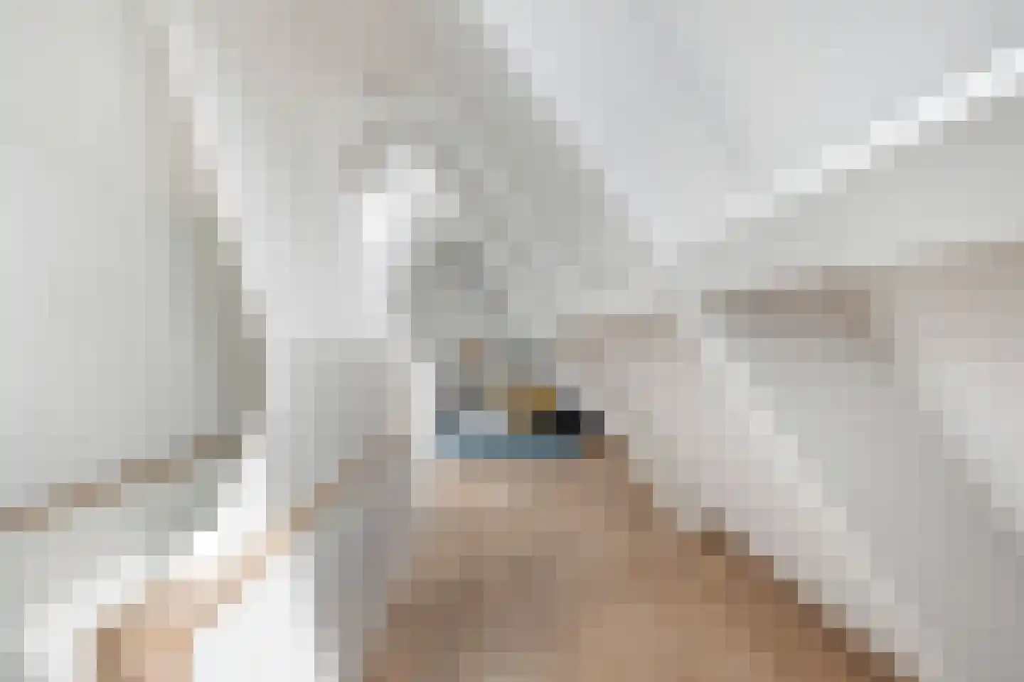 Scheepjeserf 8 Grootschermer thumbnail 27