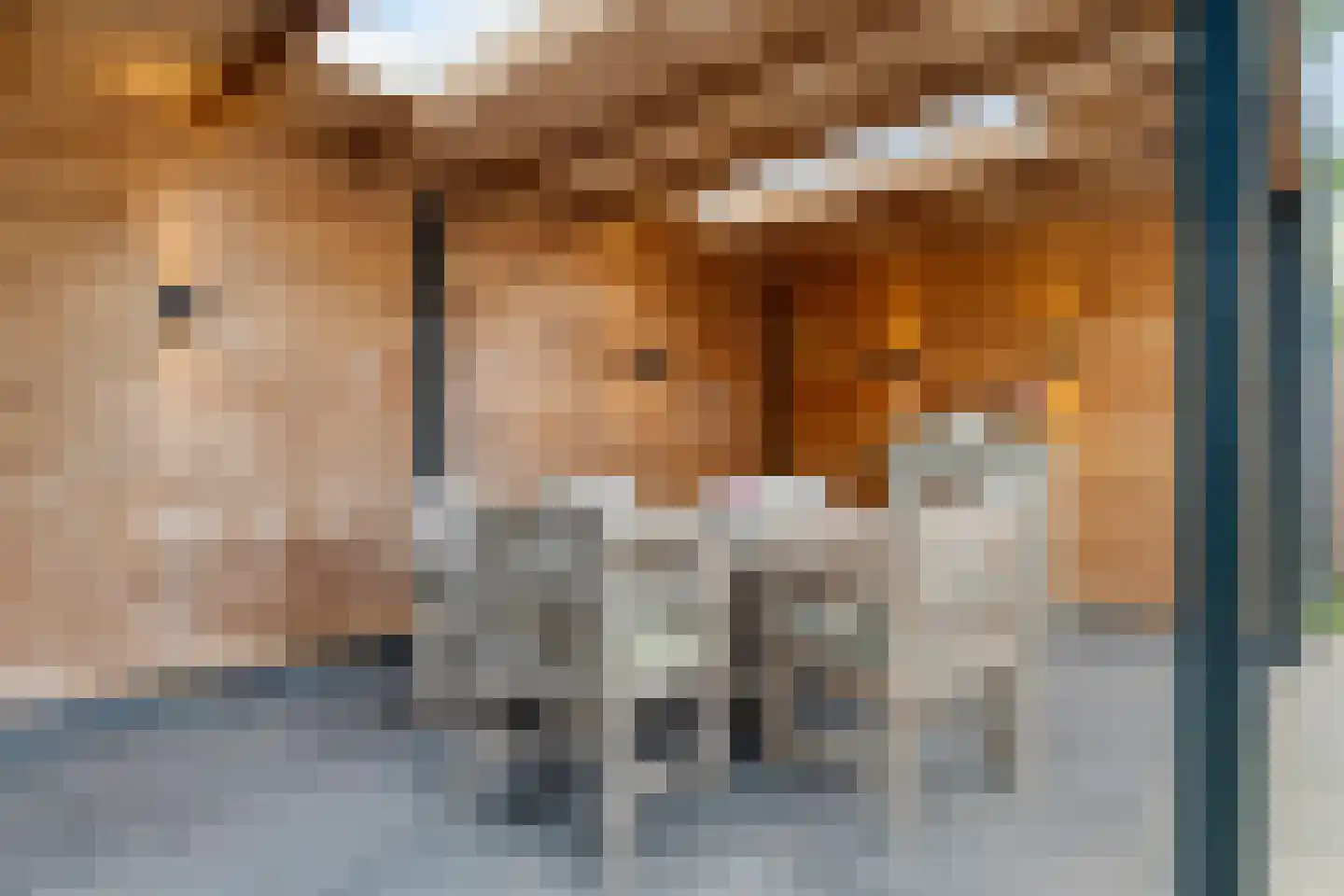 Scheepjeserf 8 Grootschermer thumbnail 34
