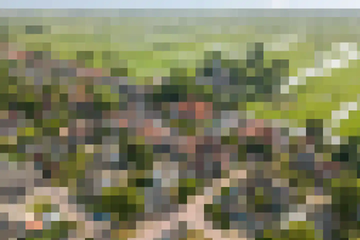 Scheepjeserf 8 Grootschermer thumbnail 40