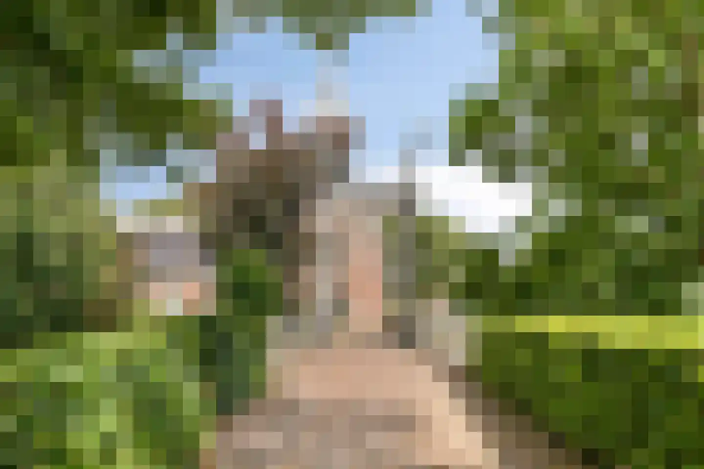 Scheepjeserf 8 Grootschermer thumbnail 43